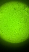 86D943C7-CB10-40D1-8BEF-13B7BFB3BC6C.jpeg