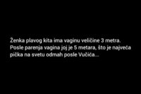 FB_IMG_1755377252330.jpg