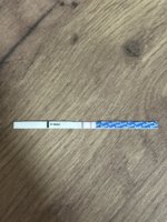 IMG_5444.jpeg