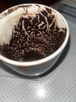 IMG_1355.jpeg
