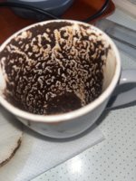 IMG_1354.jpeg