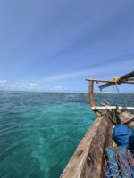IMG_8319.jpeg
