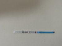 IMG_1025.jpeg