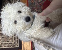 IMG_4097.jpeg