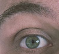20250721_113951.jpg
