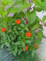IMG_20250822_191949.jpg