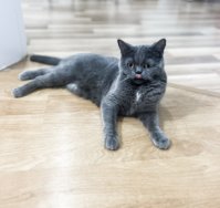 IMG_7060.jpeg