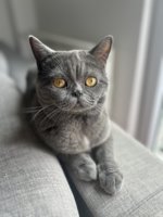 IMG_6940.jpeg