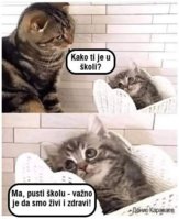 FB_IMG_1756794532902.jpg