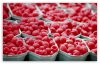 raspberries___food-t2.jpg