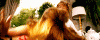 tumblr_lqxom5CxlI1r0t5gco1_500.gif