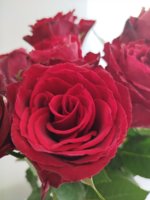 BeautyPlus_20250905144757660_save.jpg