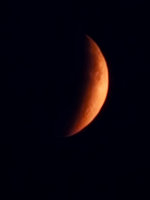 20250907_191749.jpg