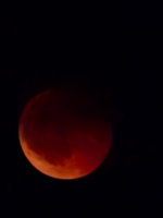 20250907_203704.jpg