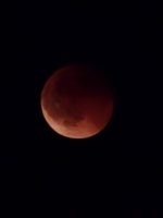20250907_204519.jpg