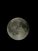 20250907_221759.jpg