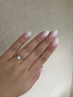 IMG_8284.jpeg
