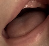 IMG_1995.jpeg