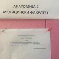 FB_IMG_1757841379951.jpg