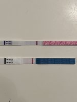 IMG_3703.jpeg