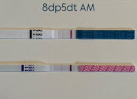IMG_3712.jpeg