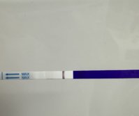IMG_8347.jpeg