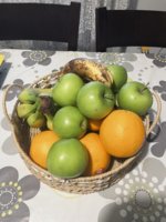IMG_5852.jpeg