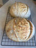 IMG_4267.jpeg