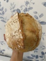 IMG_4106.jpeg