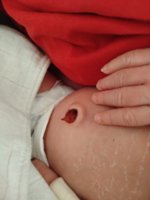 IMG_20250921_122259.jpg