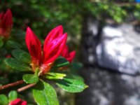 20180422_133430.jpg