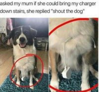 FB_IMG_1758887226882.jpg