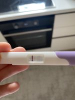 IMG_4559.jpeg