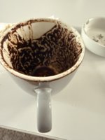 IMG_0126.jpeg