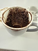 IMG_0125.jpeg