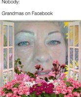 FB_IMG_1755436881059.jpg