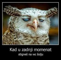 FB_IMG_1759338615521.jpg