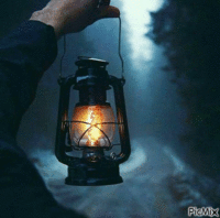 16984.gif