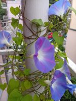 IMG_20250929_064351.jpg