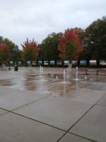 IMG_20251005_183152003.jpg