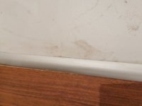 IMG_20251006_211532.jpg