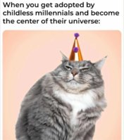 download.jpg
