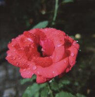 IMG_20251008_070522.jpg