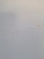 20251009_145229.jpg