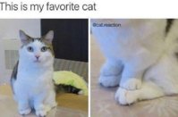 FB_IMG_1759848454092.jpg
