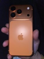 IMG_3551.jpeg