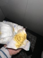 IMG_0807.jpeg
