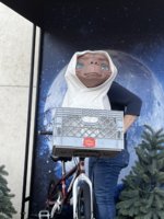 IMG_0238.jpeg