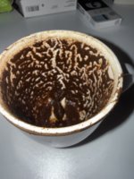 IMG_0343.jpeg
