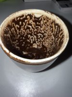 IMG_0339.jpeg